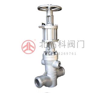 H64H 、H64Y電站止回閥