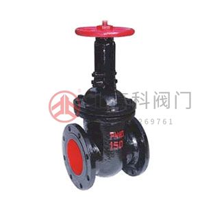 Z44T、Z44W、Z44H 型 PN10、PN16 鐵制平行式雙閘板閘閥