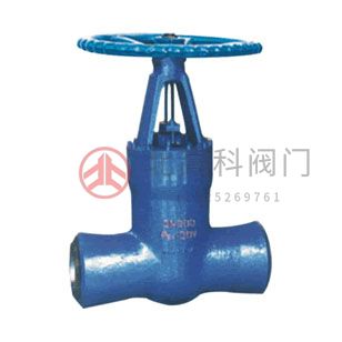 Z61Y-250、Z61Y-320 型高壓電站閘閥